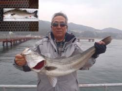 須磨海釣り公園　ウキ流しでスズキの77cm…