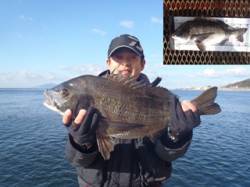 須磨海づり公園で記録賞のチヌ53.0cmが…