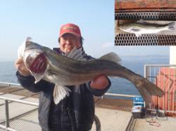 出ました！スズキの記録賞！ in　須磨海づ…