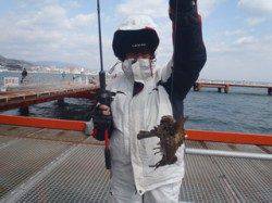 須磨海づり公園でオニオコゼが釣れました！