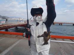 須磨海づり公園でオニオコゼが釣れました！