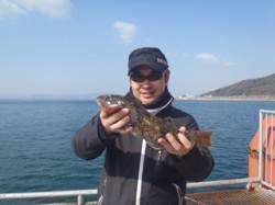 須磨海釣り公園　ウキ流し釣りでアイナメゲッ…