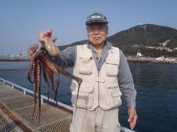 カニをエサにグッドサイズのマダコをゲット！…