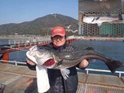 須磨海づり公園記録賞サイズのスズキ82.0…