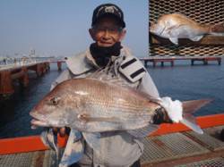 記録賞出てます！ マダイ70.3cm〜須磨…