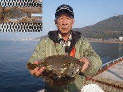 出ました！カレイの記録賞♪ in 須磨海づり公園