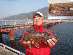 【28日】ウキ流し釣りでガシラ30m！記録賞です！