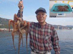 須磨海づり公園でマダコ1.7kg！アジをエサにタコテンヤでゲット