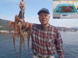 須磨海づり公園でマダコ1.7kg！アジをエ…