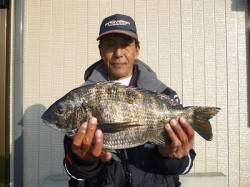 磯のチヌが好調〜フカセ釣り・紀州釣りで良型…