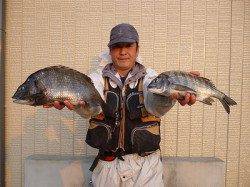 フカセで磯グレ、エサは半ボイルを使用