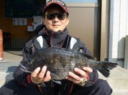 湯浅の磯、フカセ釣りでのチヌ釣果