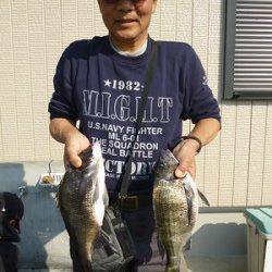 湯浅の磯、フカセ釣りでのチヌ釣果