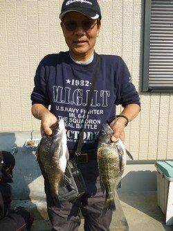 湯浅の磯、フカセ釣りでのチヌ釣果