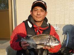 湯浅の磯フカセでナイスサイズのチヌ3枚