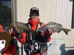 湯浅の磯〜大型のチヌが上がっています！