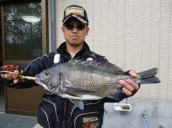 良型チヌが好調キープ！　湯浅の磯