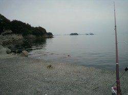 室津にて本命の花見ガレイはあたらず、テトラでガシラの釣果