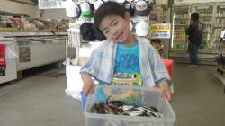 みなべ堺堤防サビキでアジ・サバとガシラがい…