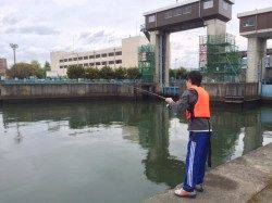 毛馬橋水門下のサビキで稚アユ楽しみました