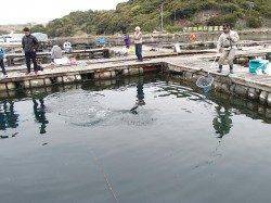 家島の釣り堀〜この時期限定の美味しいサーモン狙いで出撃！