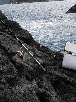 下浜港周辺地磯釣行〜夕方アジ回遊待ちに変更しました