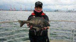 大阪南港のフカセ釣りでチヌ42㎝と49㎝