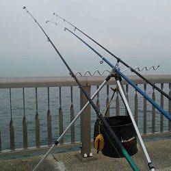 林崎ベランダで投げ釣り、カレイ狙いでしたが・・・