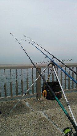 林崎ベランダで投げ釣り、カレイ狙いでしたが・・・