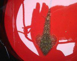 林崎ベランダで投げ釣り、カレイ狙いでしたが・・・