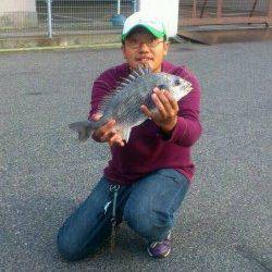 シャローに上がってくるキビレ高活性〜デイチニング面白いです♪