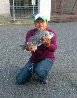 シャローに上がってくるキビレ高活性〜デイチニング面白いです♪