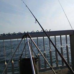 林崎ベランダへ投げ釣り釣行〜アイナメが釣れました