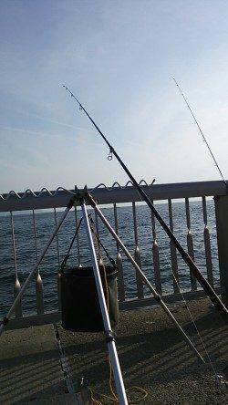 林崎ベランダへ投げ釣り釣行〜アイナメが釣れました