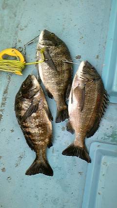 旧一文字赤灯内向き・カーブなどで落とし込み…