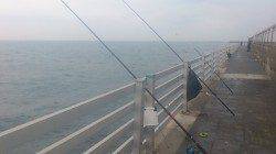 新浜漁港ベランダ南面で投げ釣り〜アイナメ・グジメの釣果