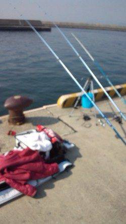 須磨の投げ釣りでカレイ〜ワンチャンスをものにしました