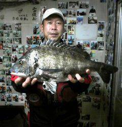 沖一文字スリットで年なしチヌ50.5cm！