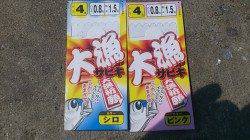 兵庫突堤南岸壁(旧バナナ埠頭)サビキでカタクチイワシ!