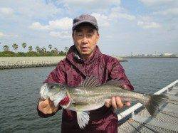 ポカポカ陽気の尼崎魚つり公園、ウキ釣りでハネ