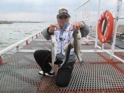 エビ撒き釣りでハネ・セイゴ 尼崎市立魚つり…