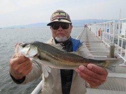 尼崎市立魚つり公園 エビ撒きウキ釣り&ズボ釣りのハネ釣果