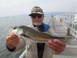 尼崎市立魚つり公園　エビ撒きウキ釣り&am…