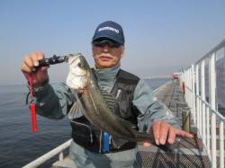 タナ調整は小まめに！尼崎つり公園のエビ撒き…