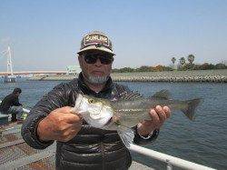 タナ調整は小まめに!尼崎つり公園のエビ撒きハネ釣り