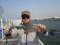 尼崎魚つり公園エビ撒きでスズキサイズ♪　釣り場東寄りが◎