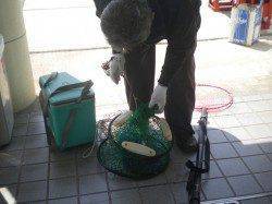 姫路市立遊魚センター 探り釣りでタコ