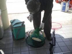 姫路市立遊魚センター 探り釣りでタコ