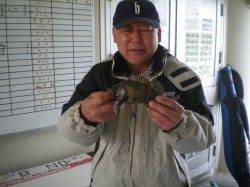 姫路市立遊魚センター　メバル・タコなど