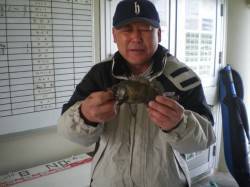 姫路市立遊魚センター　メバル・タコなど